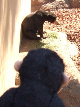 20080308.jpg