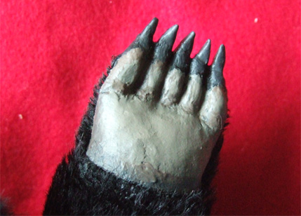 20080430.jpg