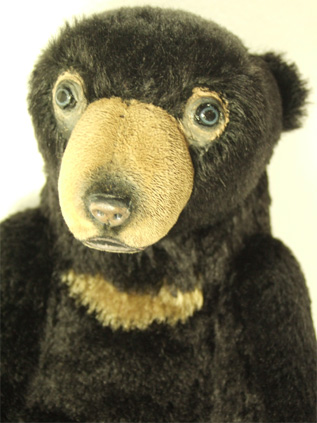 20080508.jpg