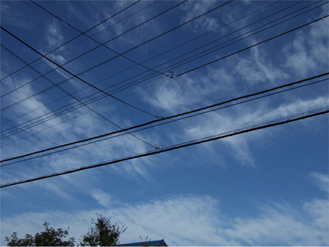200810101.jpg