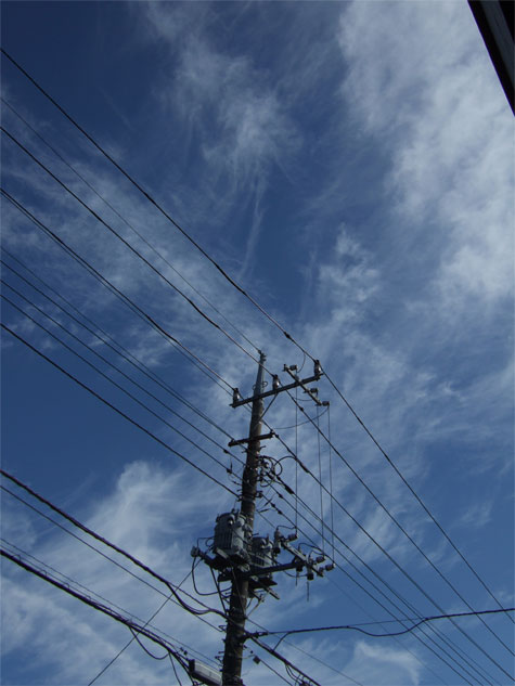 200810102.jpg
