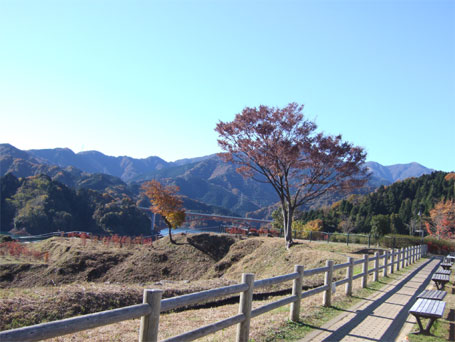 200811201.jpg
