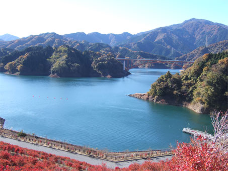 200811202.jpg