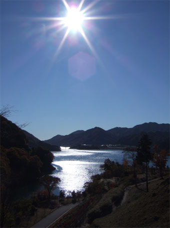 200811203.jpg
