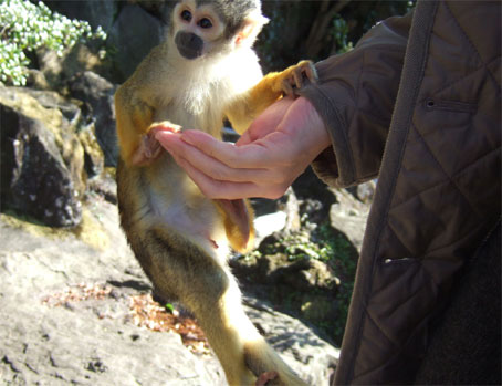200812201.jpg