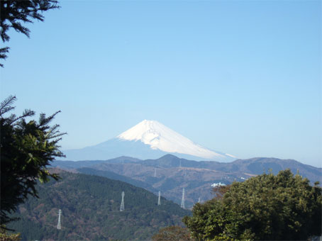 200812203.jpg