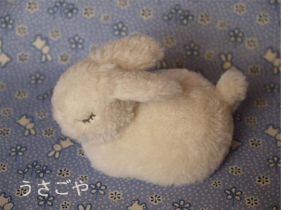 200902052.jpg