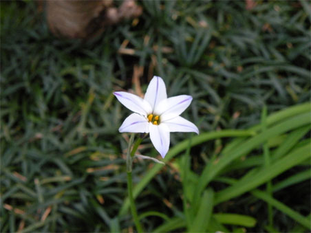 200904031.jpg