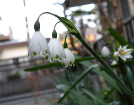 200904032.jpg