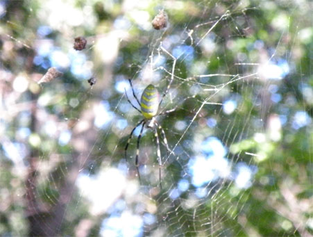 200910212.jpg
