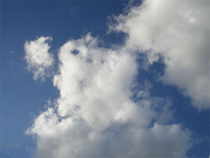200912181.jpg