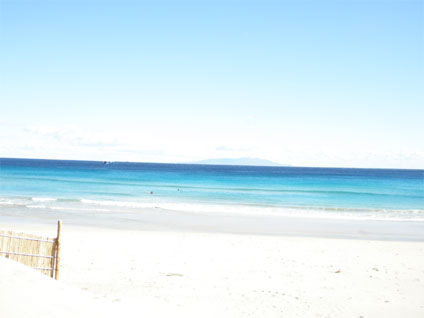 200912195.jpg