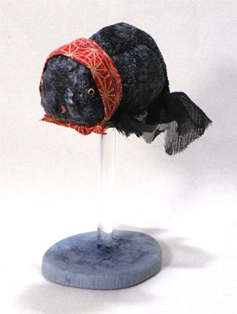 2009ranciukuro1.jpg