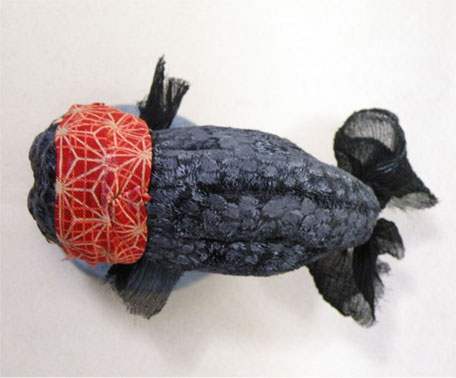 2009ranciukuro3.jpg
