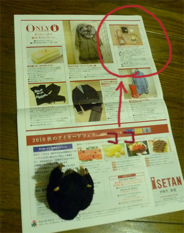 201009151.jpg