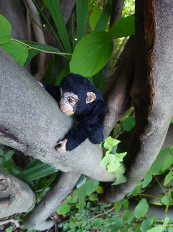 20100926.jpg