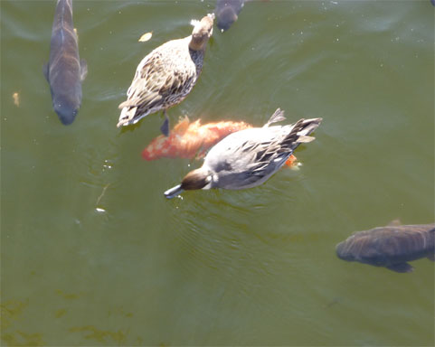 20101130.jpg