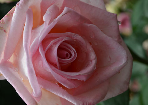 201106221.jpg