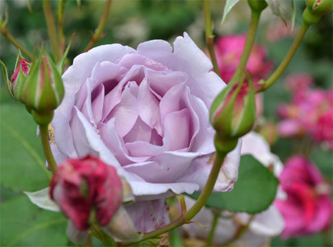 201106222.jpg