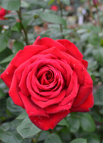 201106223.jpg