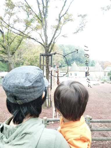 201111041.jpg