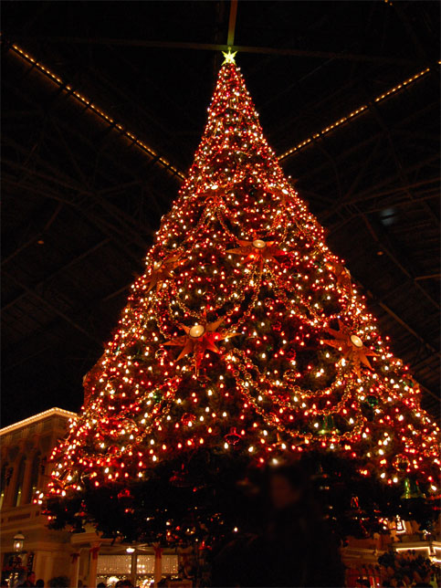 201111282.jpg