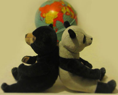 2012051001.jpg