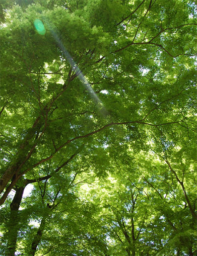 2012052102.jpg