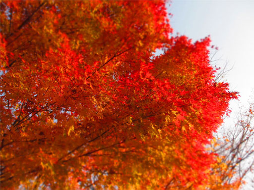 2012120802.jpg
