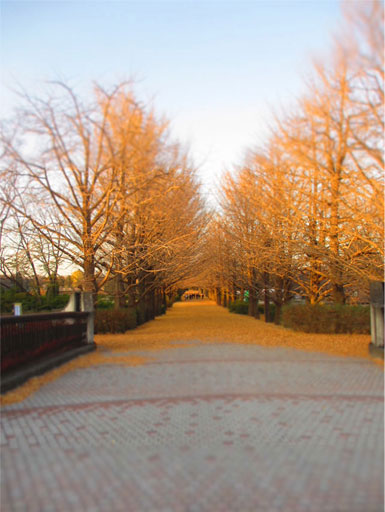 2012120803.jpg
