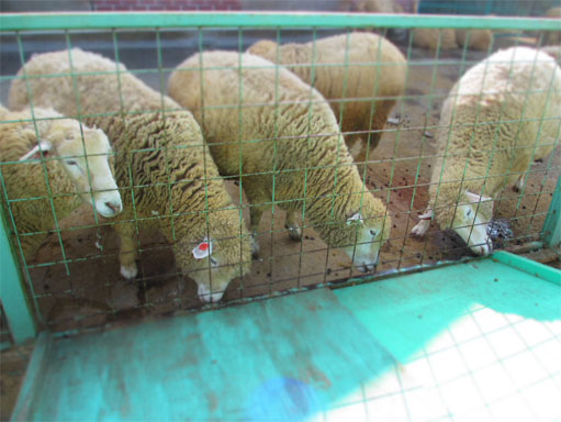 2012121602.jpg