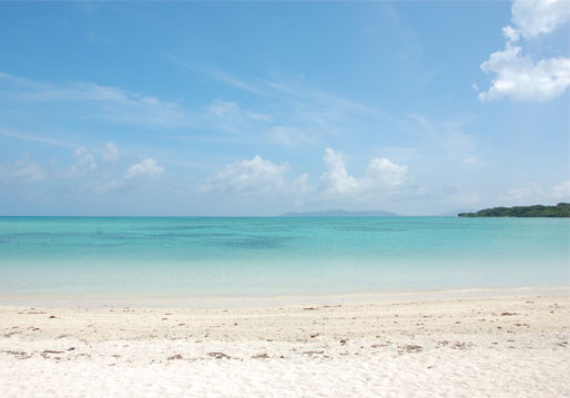 2013060901.jpg