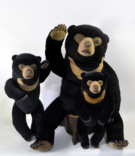 2013072510.jpg