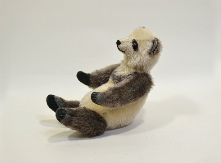 panda5.jpg